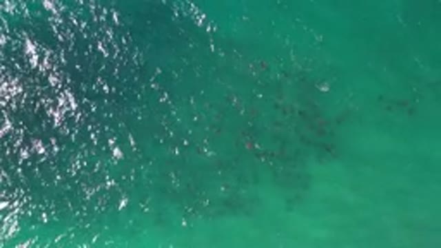 LOS CABOS MEXICO-2020: Soothing Water Flowing in the Sea with Green Hues
