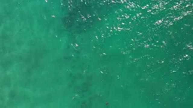 LOS CABOS MEXICO-2020: Top View Of Deep Clean Green Water And Light Waves On It