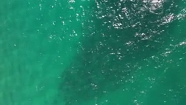 LOS CABOS MEXICO-2020: Sky Sea Ocean Life Water