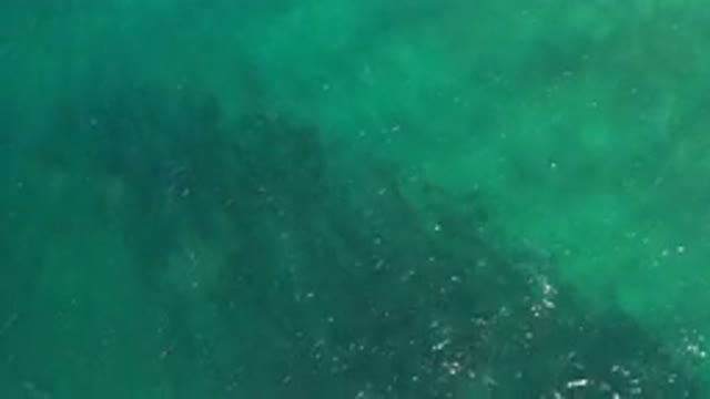 LOS CABOS MEXICO-2020: Crystal Clean Ocean Green Water Moving With The Sunlight