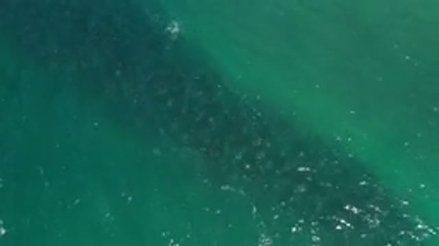 LOS CABOS MEXICO-2020: Large Body Of Blue Water With A Nice Green Tint And The