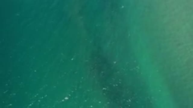 LOS CABOS MEXICO-2020: The Deeply Blue and Green Ocean Recorded From the Sky