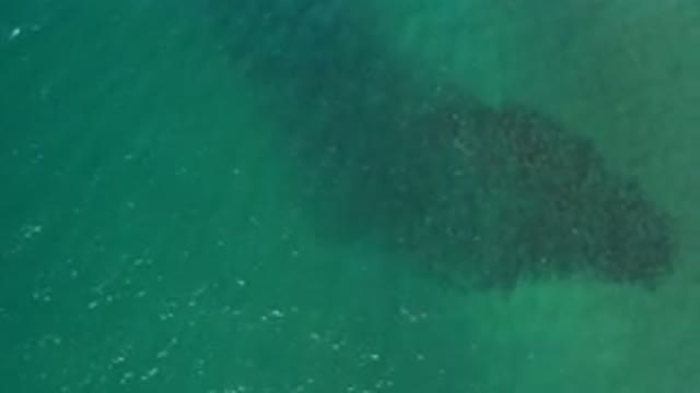 LOS CABOS MEXICO-2020: Amazing Beautiful Body Of Water Travels Along The Canal