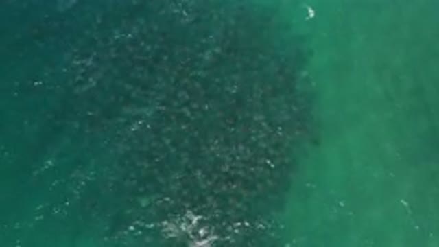 LOS CABOS MEXICO-2020: Deep Sea Light Dark Water Up Above View No Swimming