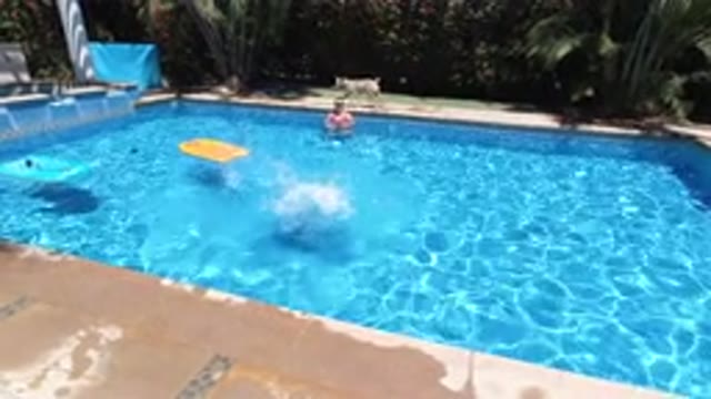 LOS CABOS MEXICO-2020: Kids and Dog Relaxing in the Pool on a Hot Day