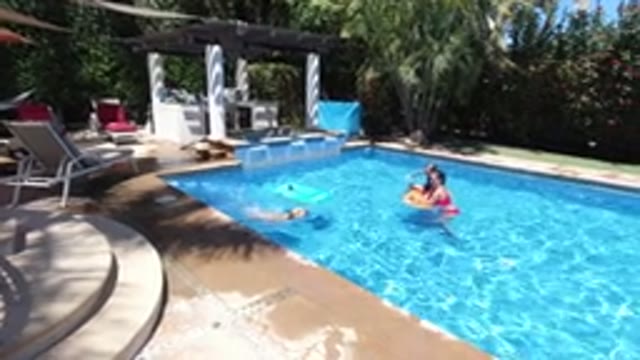 LOS CABOS MEXICO-2020: The Dog Swims In The Pool With The Children