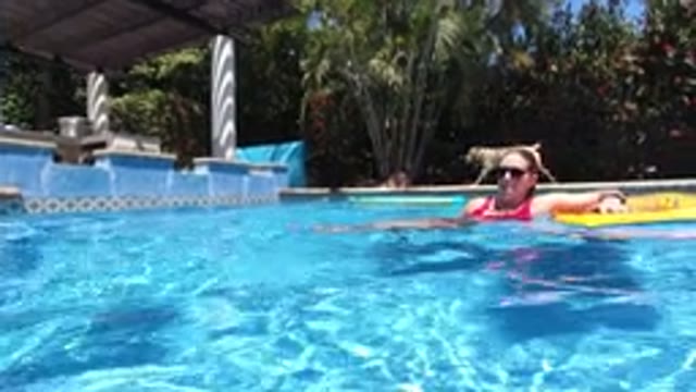 LOS CABOS MEXICO-2020: Person Having Fun In Pool With Dog Running