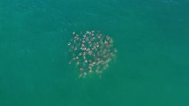 LOS CABOS MEXICO-2020: Gray And Soft Things On The Sea