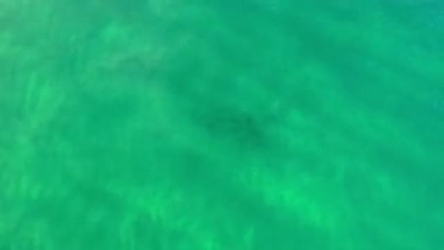 LOS CABOS MEXICO-2020: Too Green And Too Deep Beautiful Sea