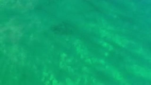 LOS CABOS MEXICO-2020: Deep Sea Ocean Calm Free Peace Sun Morning Light Green