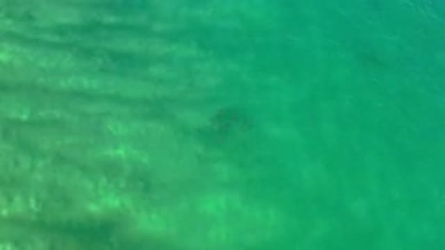 LOS CABOS MEXICO-2020: A Higher View Of A Large Body Of Water With Small Waves