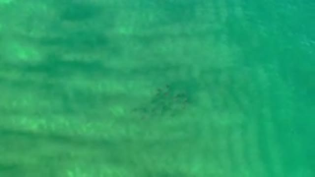 LOS CABOS MEXICO-2020: Overview Of Beautiful Transparent Greenish Blue Water Sea