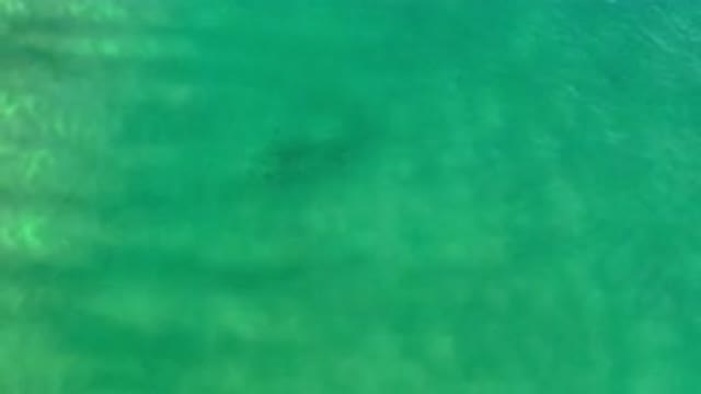 LOS CABOS MEXICO-2020: Beautiful Deeply Green Water Ocean Recorded From The Sky