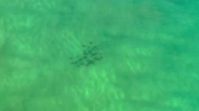 LOS CABOS MEXICO-2020: Gorgeous Green Waters In The Ocean Recorded From The Sky