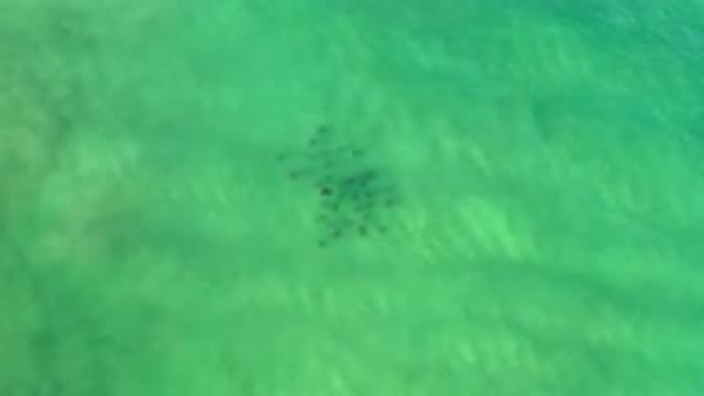 LOS CABOS MEXICO-2020: Deeply Blue And Green Ocean Recorded From Above By