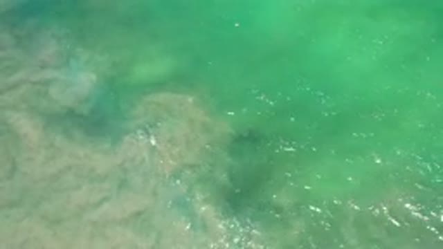 LOS CABOS MEXICO-2020: A Greenish Dirty Sea With Rocks On A Sunny Day
