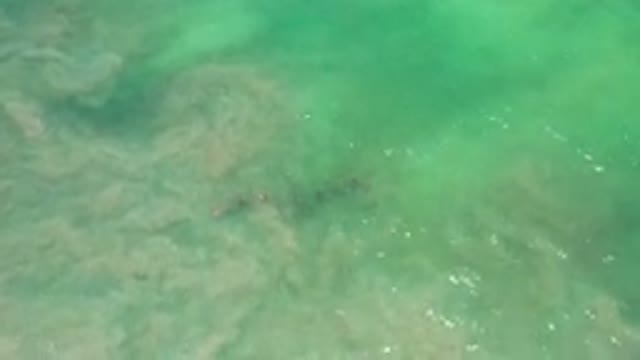 LOS CABOS MEXICO-2020: Turquoise Blue Water And Waves