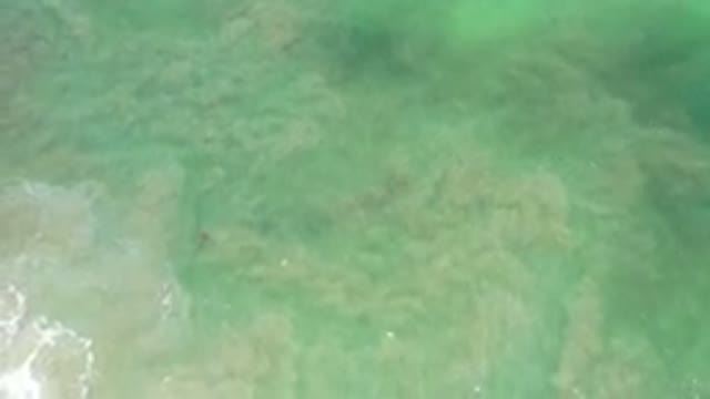 LOS CABOS MEXICO-2020: A Top View Of Green Water And Loose Sands