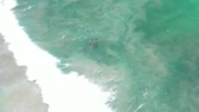 LOS CABOS MEXICO-2020: Waves Flowing Onto A Beach With A Small Shoal Of Fish In