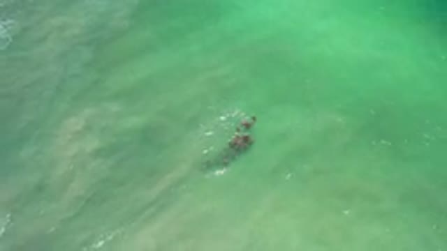 LOS CABOS MEXICO-2020: Cloudy Ocean Water Making Waves Around A School Of Fish
