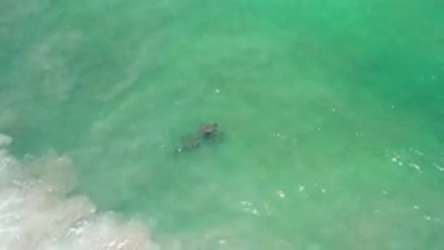 LOS CABOS MEXICO-2020: Beautifully Green Water From The Ocean Recorded By Drone