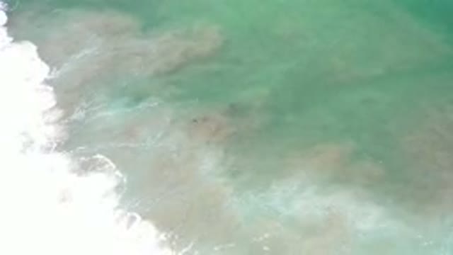 LOS CABOS MEXICO-2020: A Beautiful Body Of Water Travels Along The Canal With