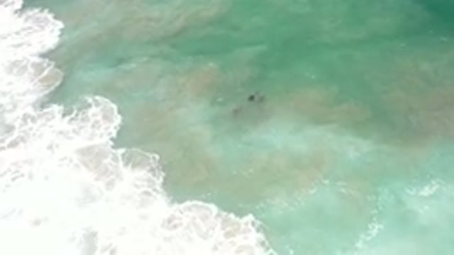 LOS CABOS MEXICO-2020: The Sound Of The Ocean Can Make A Person Relaxed