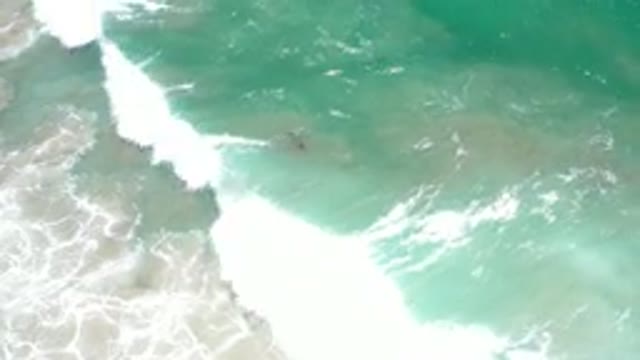 LOS CABOS MEXICO-2020: Top View Of A Powerful Wave In A Beach And A Black Fish