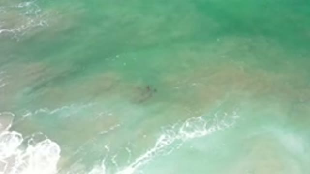 LOS CABOS MEXICO-2020: In An Aqua Color Body Of Water There Is Something