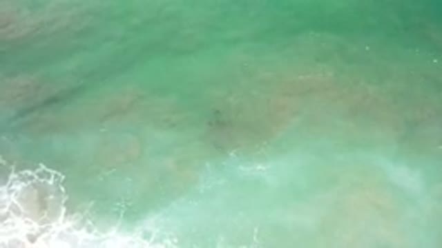 LOS CABOS MEXICO-2020: A Calm Day With Minor Waves On The Green Ocean
