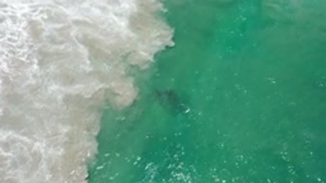 LOS CABOS MEXICO-2020: A Beautiful Body of Water Mixing With the White Waves