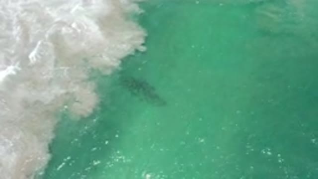 LOS CABOS MEXICO-2020: Aerial View of Blue Seawater and Crystal Waves