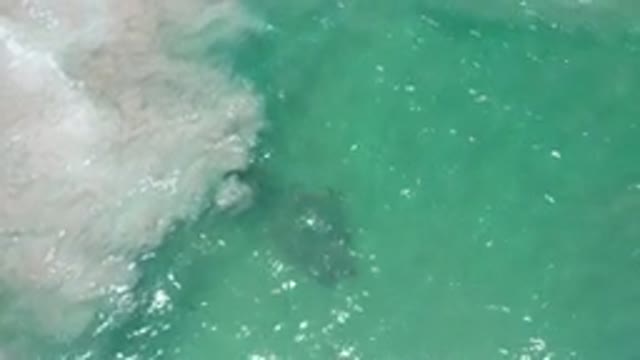LOS CABOS MEXICO-2020: Green Colored Water Moving In Waves Towards The Shore