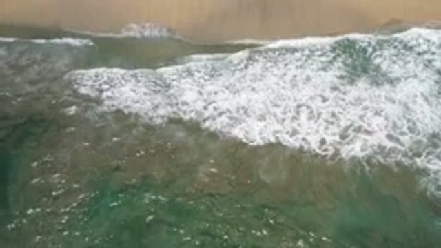 LOS CABOS MEXICO-2020: Beautiful Mixture At The Ocean Bank