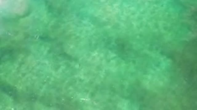 LOS CABOS MEXICO-2020: Calm Water Calm Waves