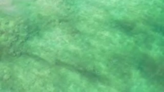 LOS CABOS MEXICO-2020: Swim In The Crystal Clear Waters Of Hawaii Discover Best