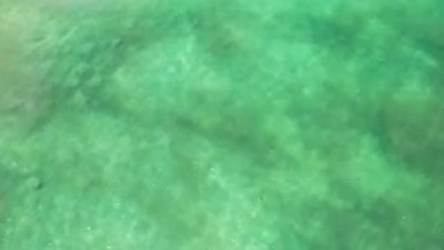 LOS CABOS MEXICO-2020: Top View Of Calm Green Water With Light Waves