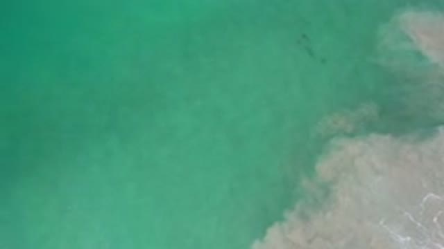 LOS CABOS MEXICO-2020: Ocean Shot With Fleeting Sea Life And Semi Cloudy Water