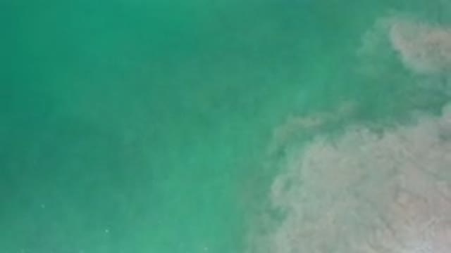 LOS CABOS MEXICO-2020: Top View Of Clean Green Water And Muddy Water In One