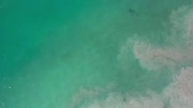 LOS CABOS MEXICO-2020: Aerial View Of The Ocean Waves Moving Towards The Sandy