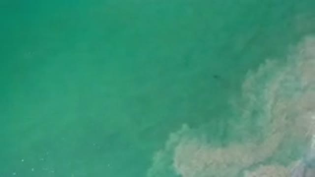 LOS CABOS MEXICO-2020: Light Waves Along A Deep And Green Sea