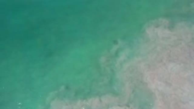LOS CABOS MEXICO-2020: Aerial View Of A Clear And Clean Sea