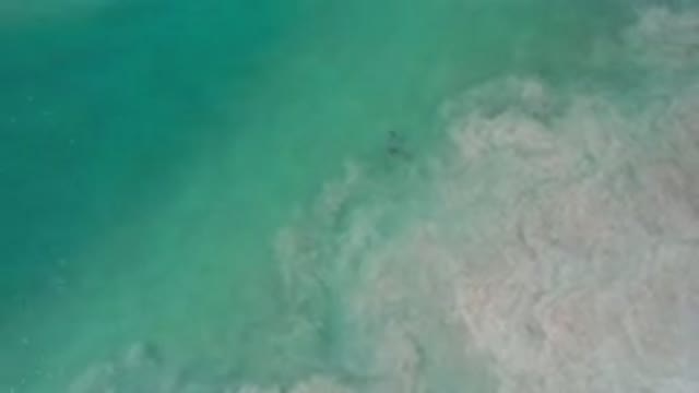 LOS CABOS MEXICO-2020: Water Cloudy By Thick Material Such As Underwater Dust Or