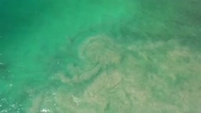 LOS CABOS MEXICO-2020: Beautiful But Oddly Looking Green Water Sea Captured From