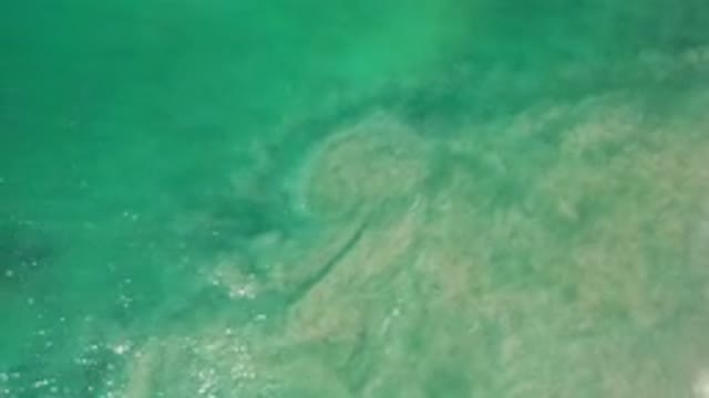 LOS CABOS MEXICO-2020: A Deep Green Sea Water And Circles Of Sand Under The