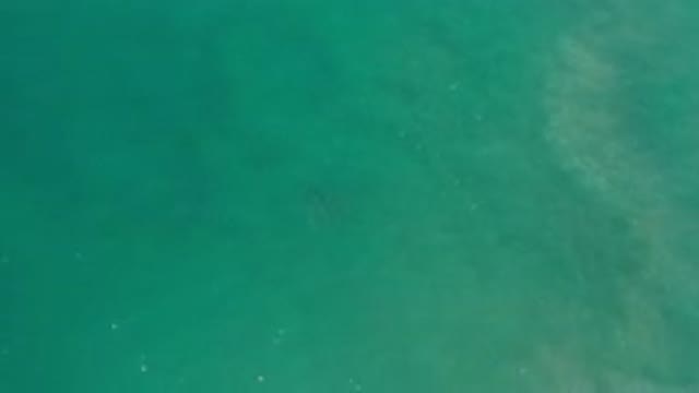 LOS CABOS MEXICO-2020: Nice Ocean Water With A Green Tint That The Water Is