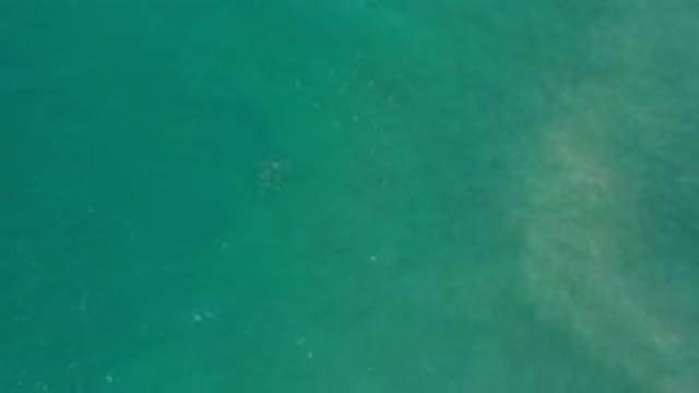 LOS CABOS MEXICO-2020: Calm Green Ocean Water Recorded From the Sky With a Drone