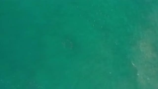 LOS CABOS MEXICO-2020: Clear Ocean Water Reveals Sea Bottom