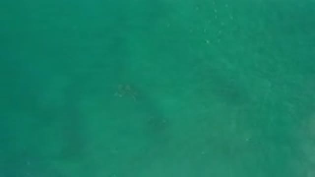 LOS CABOS MEXICO-2020: A Beautiful Body Of Water Travels Along The Canal With