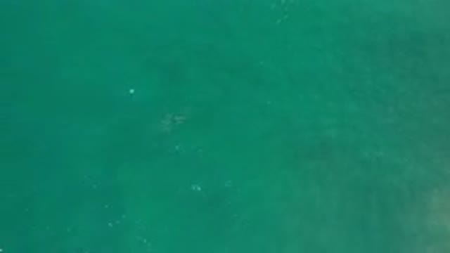 LOS CABOS MEXICO-2020: Aerial View Of Green Slow Running River Water In Day Time